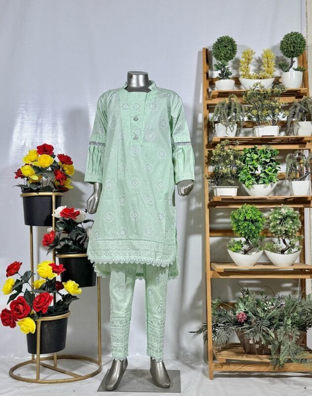 Embroidered 2 pcs Suit - Image 2